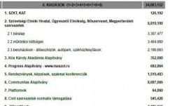 Ekkora összegből gazdálkodott tavaly az RMDSZ