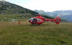 Vipera mart meg egy juhászt, helikopterrel szállították kórházba