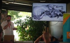 Medvék és sárkányok – őslény-gyorstalpalón jártunk a VIBE Fesztiválon