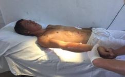 Újabb medvetámadás Székelyföldön: a pásztornak sikerült elmenekülnie