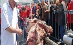 Bogdán Tibor: Mennyibe kerül az ingyen miccs 