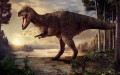 Kiderült: a Tyrannosaurus rex nem volt az a kiköpött sprinter