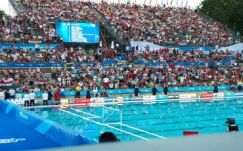 Vizes vb: beleszerettünk az aussiekba (helyszíni tudósítás)