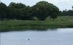 Nem indul eljárás a tinik ellen, akik hagytak megfulladni egy sérült férfit