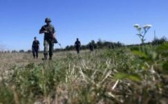 Több mint 21 ezer migránst tartóztattak fel egy év alatt a szerb járőrök