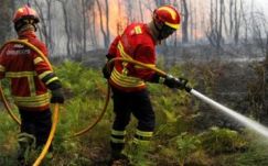 Újabb erdőtüzek pusztítanak Portugáliában
