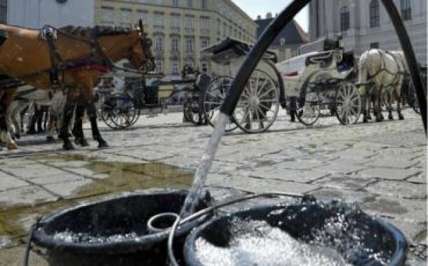 A nagy meleg miatt „kimenőt” kaptak a bécsi belvárosban közlekedő fiakerek lovai