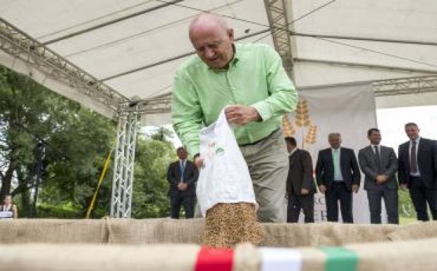 Összeöntötték a magyarországi és a határon túlról származó búzát Nemeshanyban