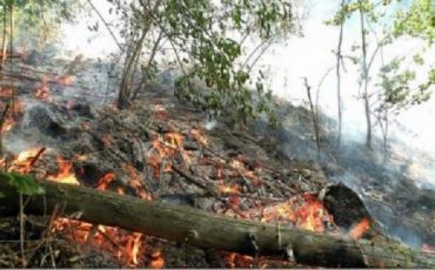 Elszigetelték az erdőtüzet a Csiszér-csúcson