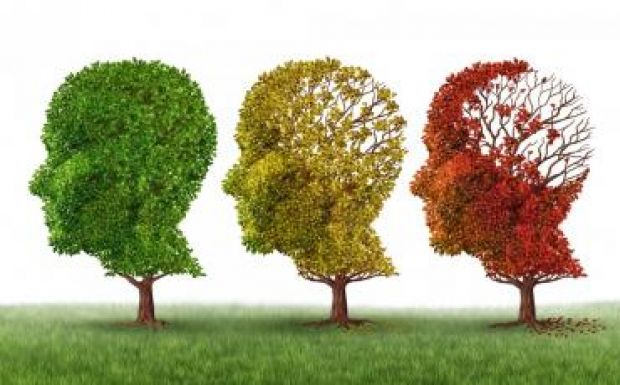 Magyar tudósok léptek előre az Alzheimer-kutatásban