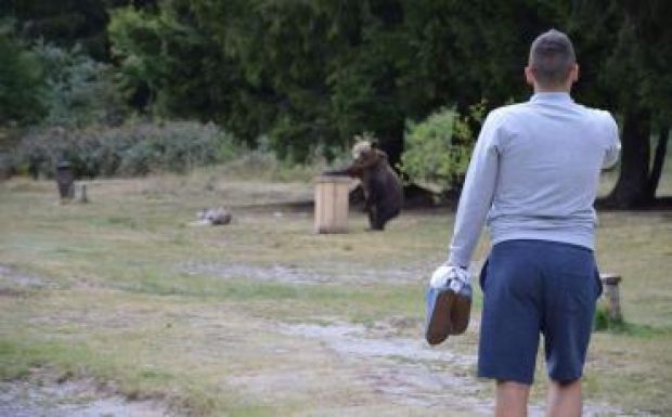 Szakértőt kérdeztünk: miért strandolnak együtt a medvék és az emberek a Szent Anna-tónál?