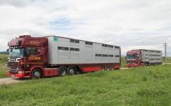 Kamionstop az Arad megyei utakon 