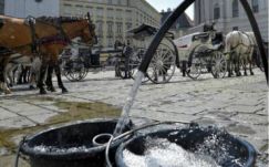A nagy meleg miatt „kimenőt” kaptak a bécsi belvárosban közlekedő fiakerek lovai