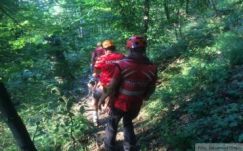 FRISSÍTVE: Sokkolta a külföldi turistákat, amit a Cenken tett séta alatt találtak 