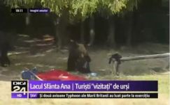 Ellopta a turista hátizsákját egy anyamedve a Szent Anna-tónál