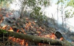 Elszigetelték az erdőtüzet a Csiszér-csúcson