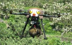 Sólyomnak álcázott drónnal ijesztgetnek egy japán városban