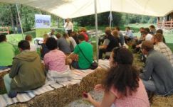Titkos kiképzőtábor a Hargitán? Elkezdődött a zeteváraljai Edzőtábor