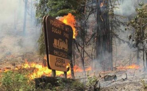Rendkívüli állapot van Los Angelesben tűzvész miatt