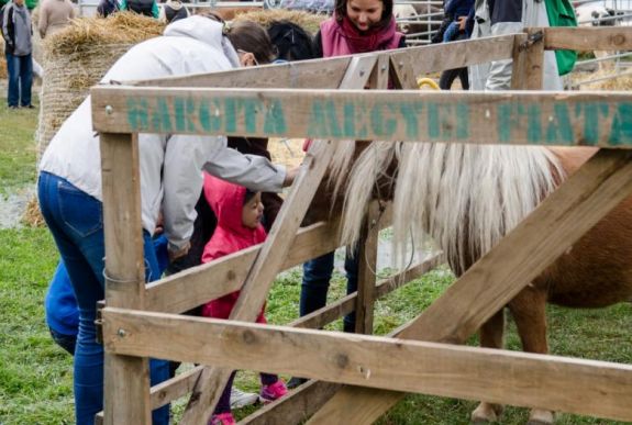 Idén is bevonzotta a város a falut Csíkszeredában