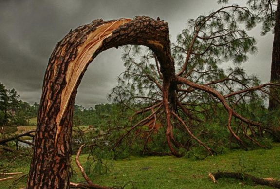 Hatalmas kárt tett a vihar a máramarosi erdőkben