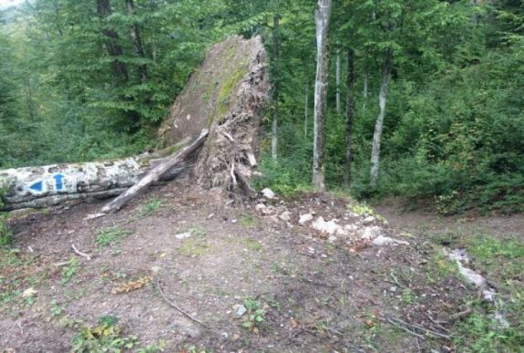 A vihar a népszerű turistautaknak is betett