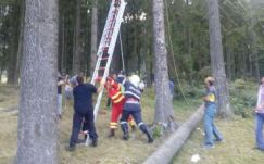 Fenyőfa tetején akadt fenn két siklóernyőző Buşteni környékén