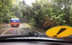 Pusztított a Hargita megyén végigsöprő vihar