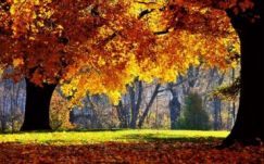 Ilyen lesz az időjárás a következő három hónapban