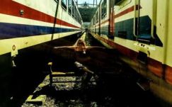 Sepsiszentgyörgy rejtett történeteit eleveníti fel török partnerével az M Studio