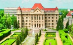 Papp Sándor Zsigmond: Díszszolgák