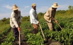 Winkler Gyula: a gazdatársadalomnak hallatnia kell a hangját Európában