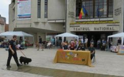 Évadkezdés: a teljes szombatot átbulizták nézőikkel a marosvásárhelyi színészek