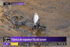 Elpusztult a közeli folyó élővilága a szászvárosi tűzeset után