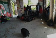 Iraki bevándorlókat találtak egy elhagyott temesvári épületben