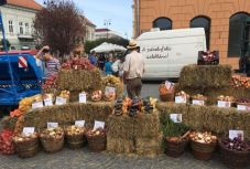 AgroFeszt Sepsiszentgyörgyön: városra költözött a vidék!