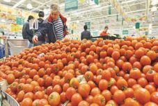 Hiába a hazai termelők szubvenciója, vészesen nő a paradicsomimport