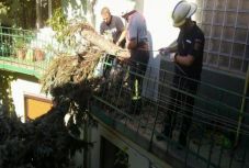 Arad megye több mint 4000 háztartásában hiányzik az áramellátás