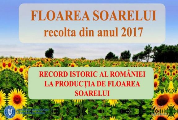 „Éljen a Párt!” – A rekord napraforgóterméssel kérkedik Liviu Dragnea