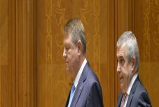 Ambrus Attila: Hétszer hét