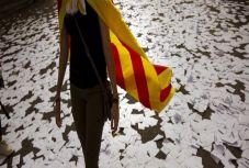 Bíró Béla: A castello és a bikaviadal