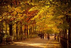 Ilyen lesz az időjárás a következő két hétben