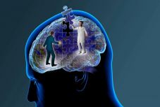 Magyar kutatók járultak hozzá az agykutatáshoz