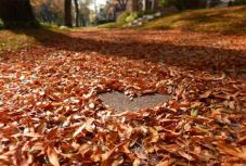 Nyáriasan meleg időre is számíthatunk ezen a héten