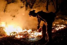 Nőtt a Kaliforniában tomboló tűzvész halálos áldozatainak a száma