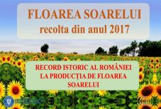 „Éljen a Párt!” – A rekord napraforgóterméssel kérkedik Liviu Dragnea