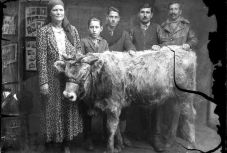 Sikeres román nagyjátékfilmekkel is készül az Alter-Native