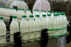 Számos tejipari vállalkozást megbírságoltak