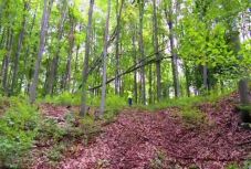 Szörnyűségeket művelt a 12 éves fiával, hogy bosszút álljon a feleségén