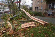 Heves szélvihar söpört végig Csehországon, halottak is vannak